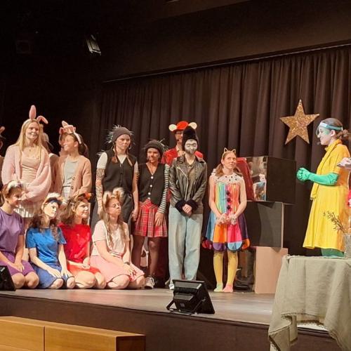 Casting Show im Theater