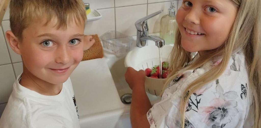 Erdbeeren